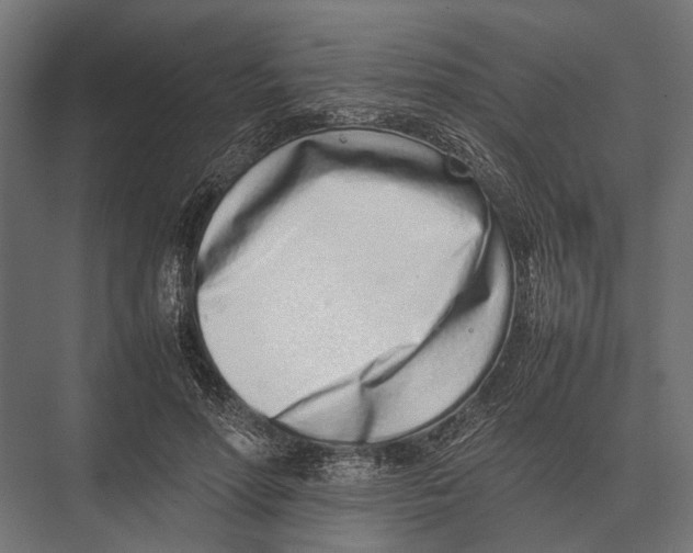 X0000075330598200610061630