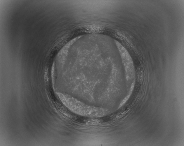 X0000075330599200610061630