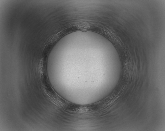 X0000075330600200610061630