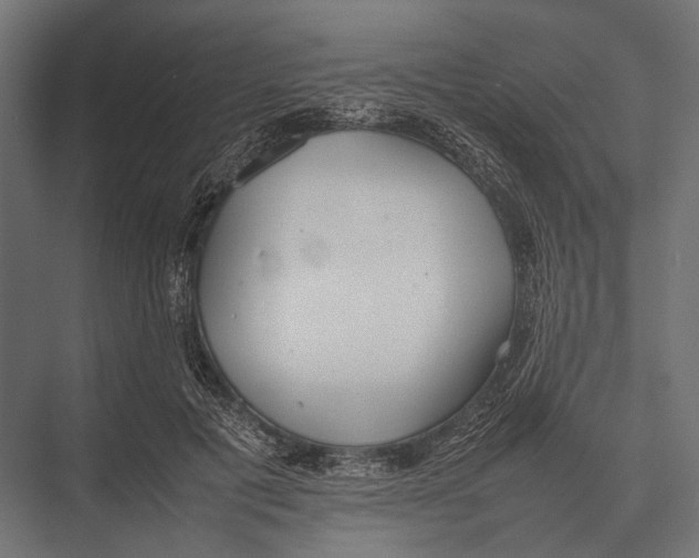 X0000075330601200610061630