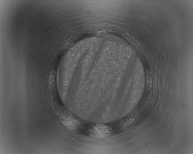 X0000075330603200610061630