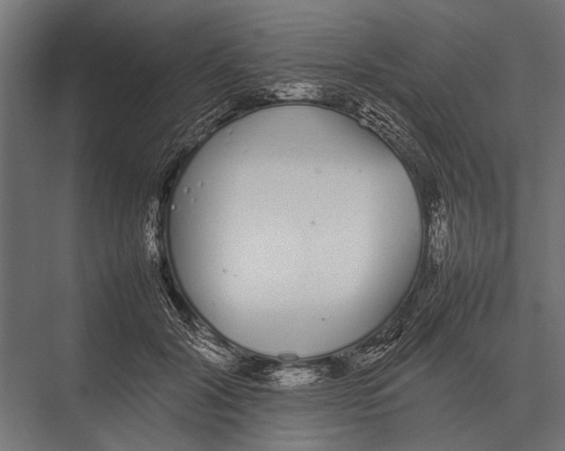 X0000075330604200610061630