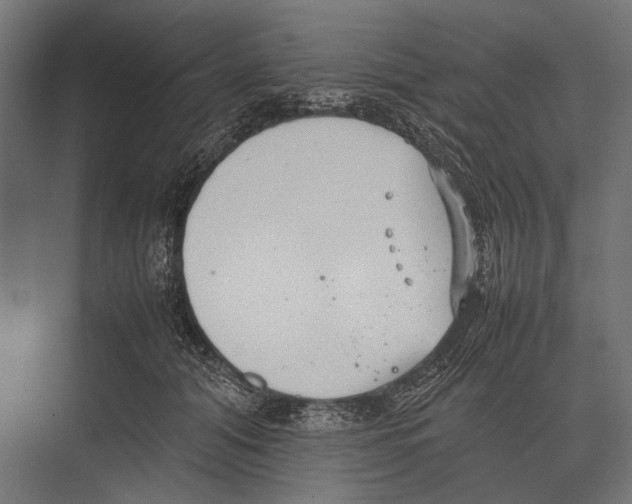 X0000075330608200610061630