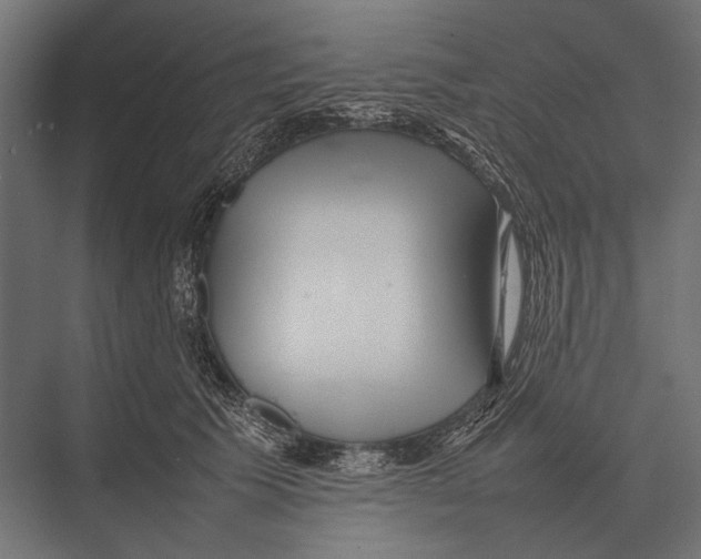 X0000075330609200610061630