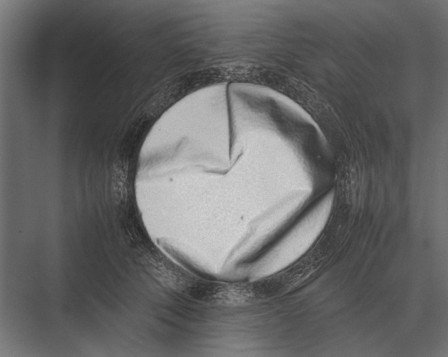 X0000075330610200610061630