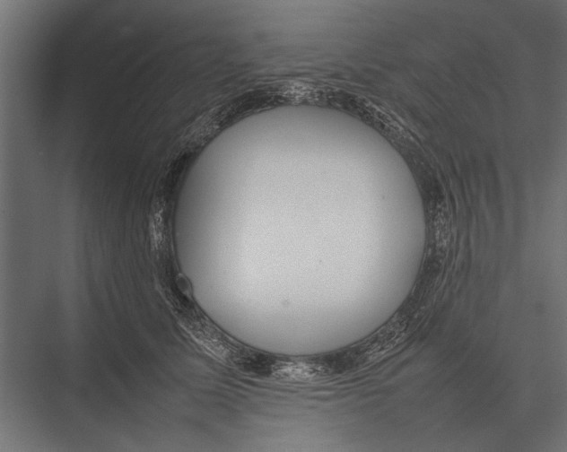 X0000075330611200610061630