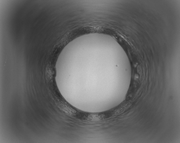 X0000075330613200610061630