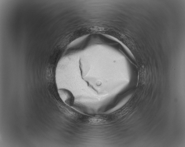 X0000075330614200610061630