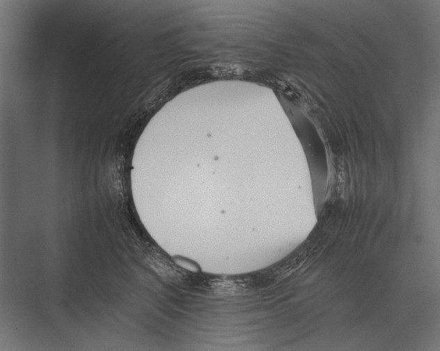 X0000075330616200610061630