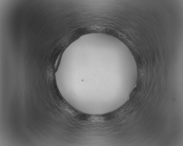 X0000075330617200610061630