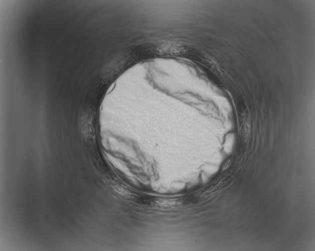 X0000075330619200610061630