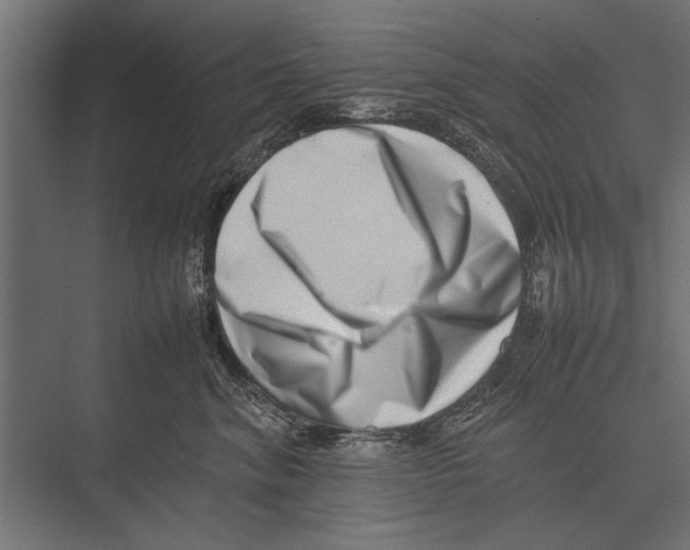 X0000075330620200610061630