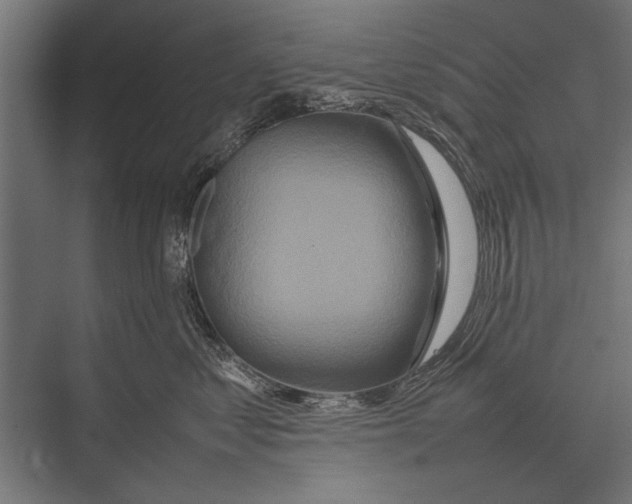 X0000075330621200610061630