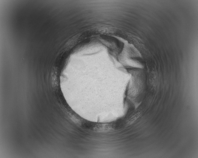 X0000075330622200610061630