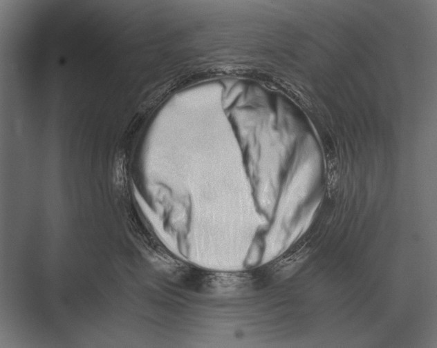 X0000075330623200610061630