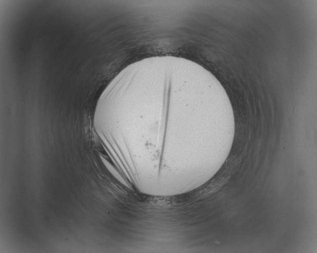 X0000075330624200610061630