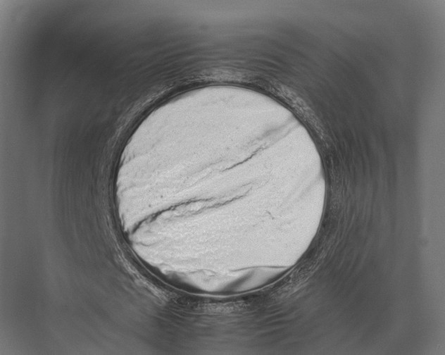 X0000075330625200610061629