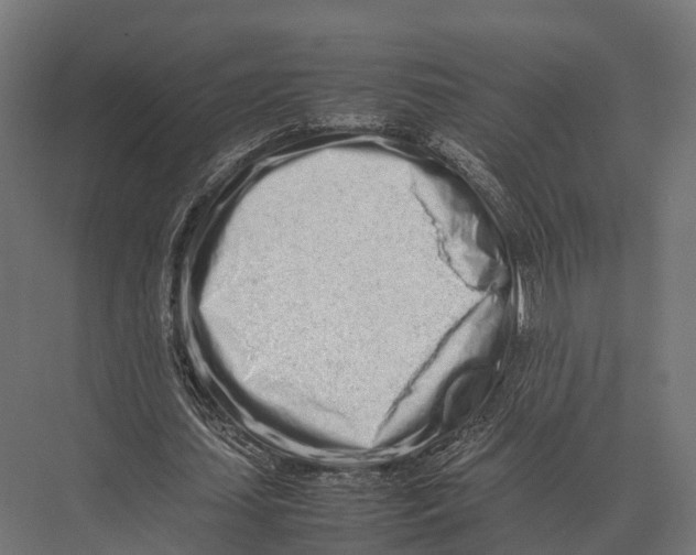 X0000075330627200610061629