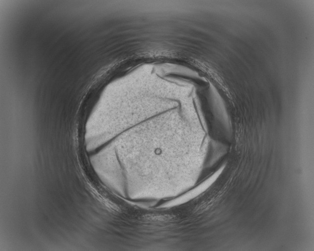 X0000075330629200610061629