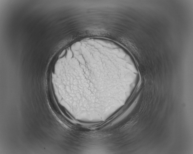 X0000075330630200610061629