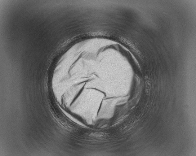 X0000075330631200610061629