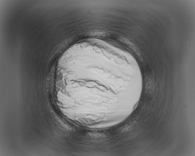 X0000075330633200610061629