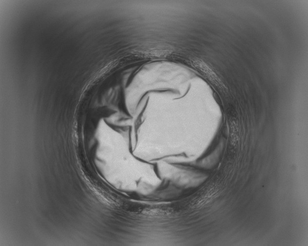 X0000075330634200610061629