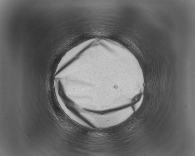 X0000075330635200610061629