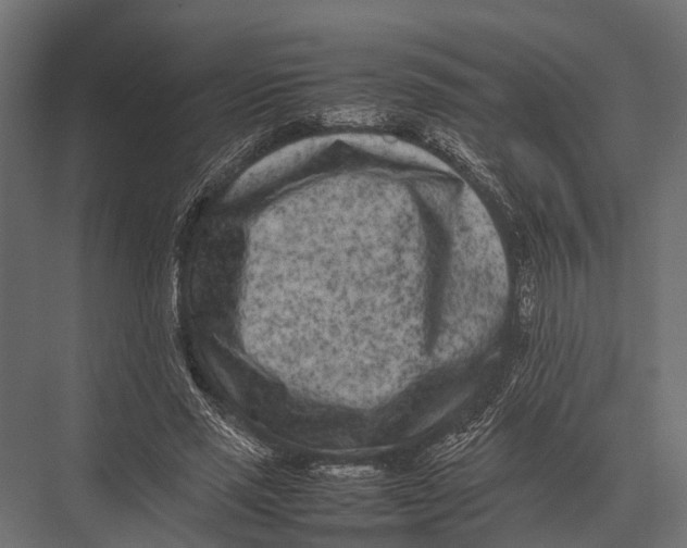 X0000075330637200610061629