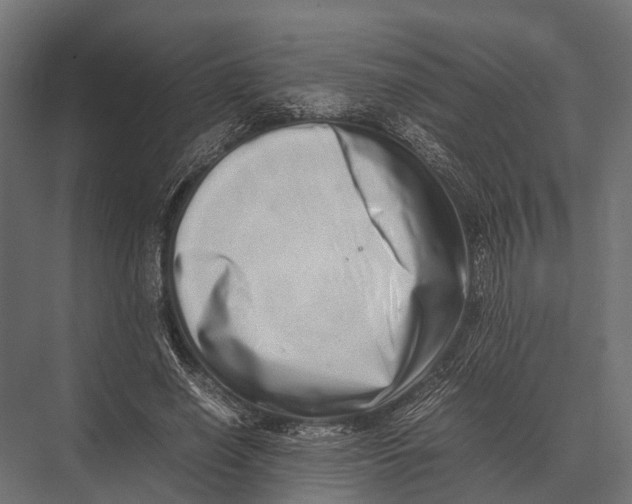 X0000075330638200610061629