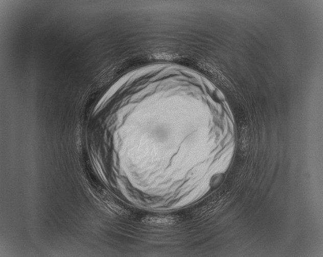 X0000075330639200610061629