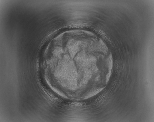 X0000075330640200610061629