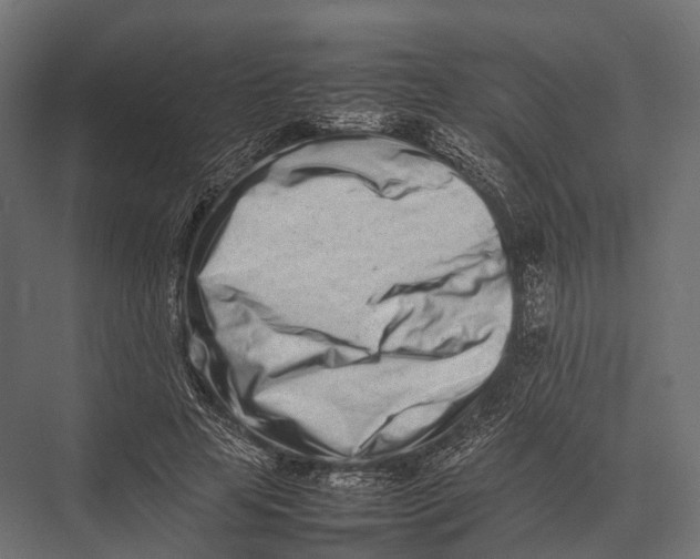 X0000075330641200610061629