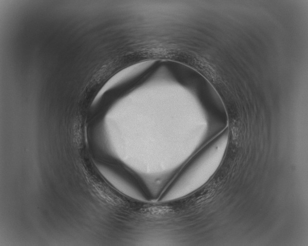 X0000075330642200610061629