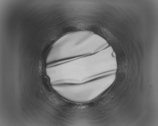 X0000075330646200610061629