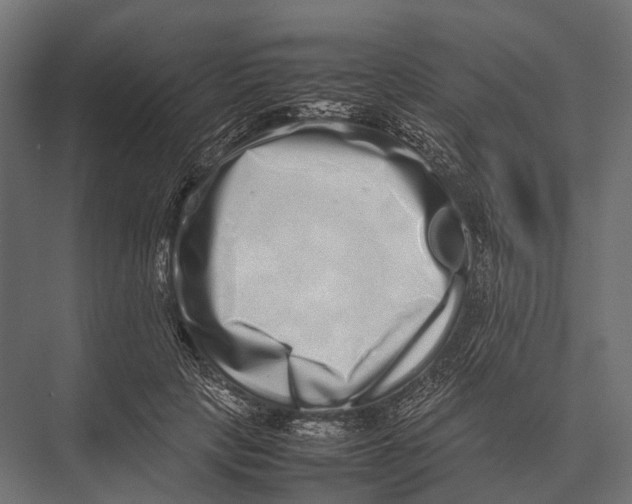 X0000075330649200610061629