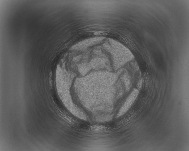 X0000075330650200610061629