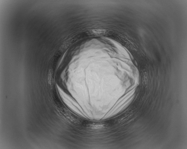 X0000075330651200610061629