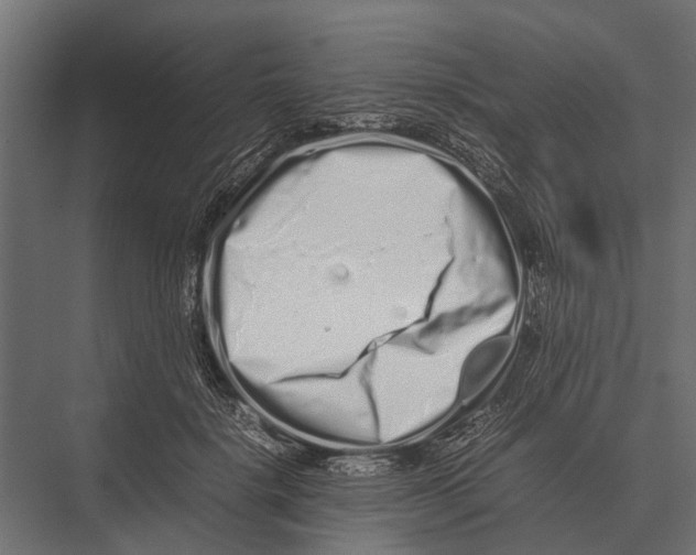 X0000075330652200610061629