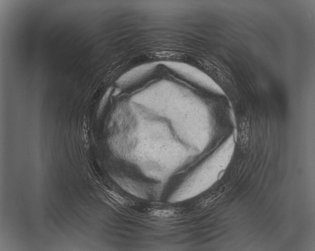 X0000075330653200610061629