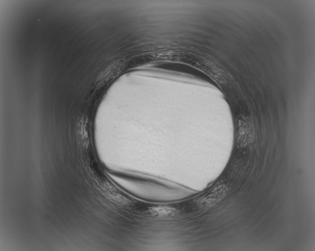 X0000075330654200610061629