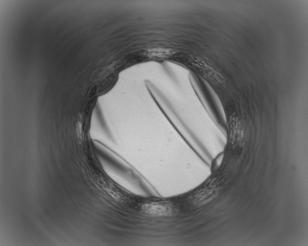 X0000075330655200610061629