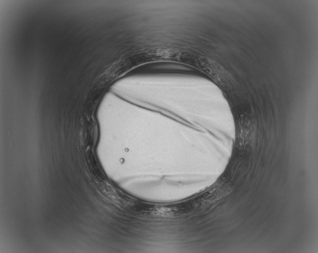 X0000075330656200610061629