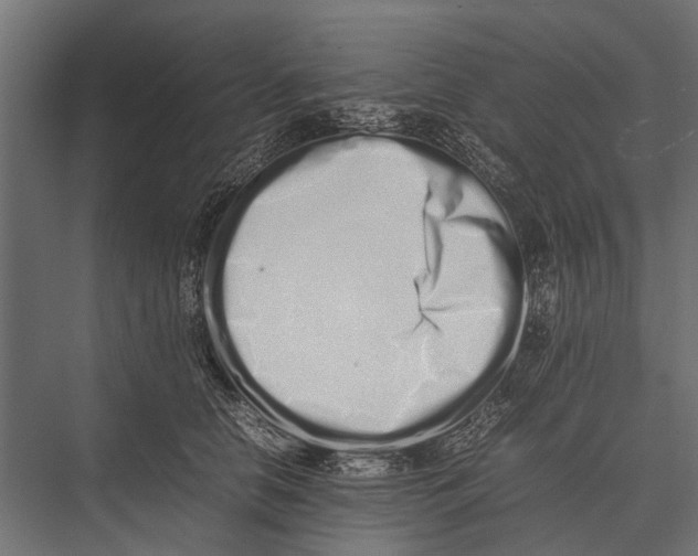 X0000075330658200610061629