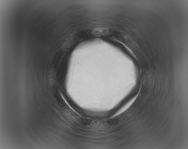 X0000075330659200610061629