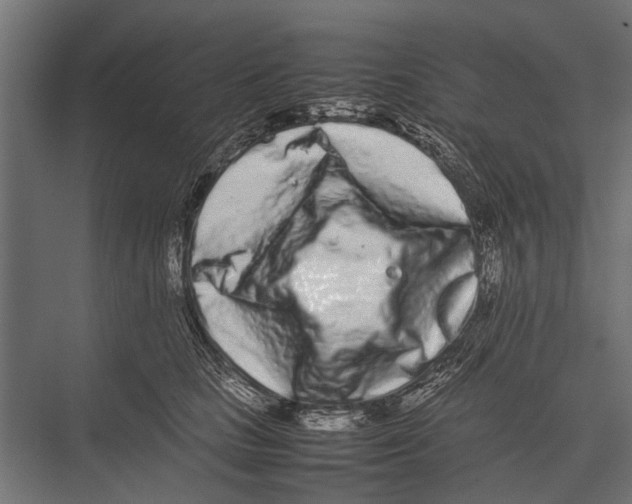 X0000075330661200610061629