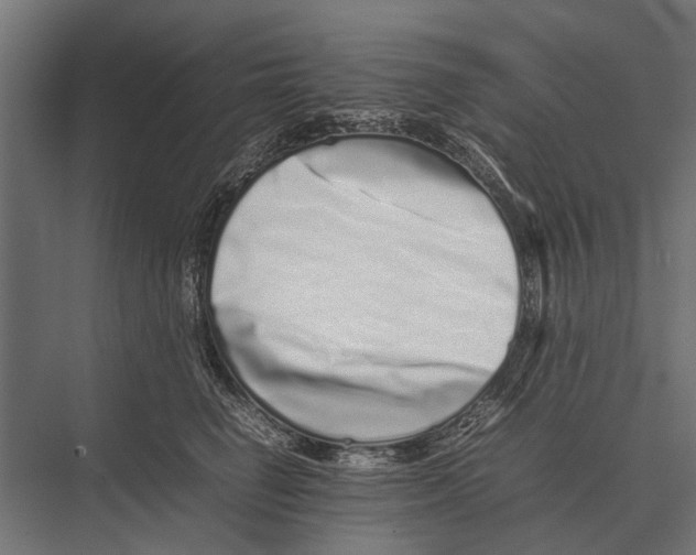 X0000075330662200610061629