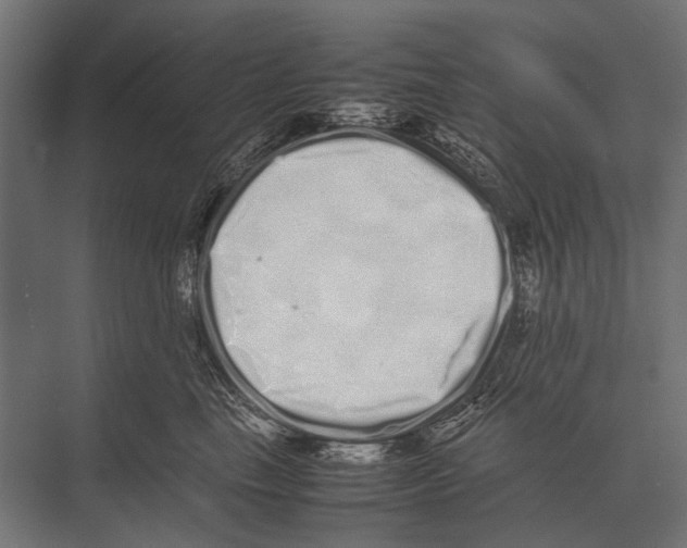 X0000075330665200610061629