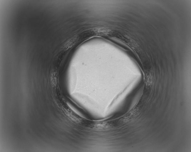 X0000075330666200610061629