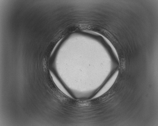 X0000075330667200610061629